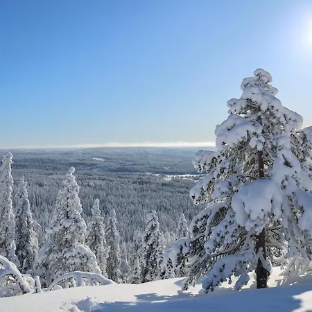Porevillas B Syöte